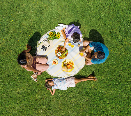 Ripley Valley, Ripley family having a picnic on the lawn area v2.