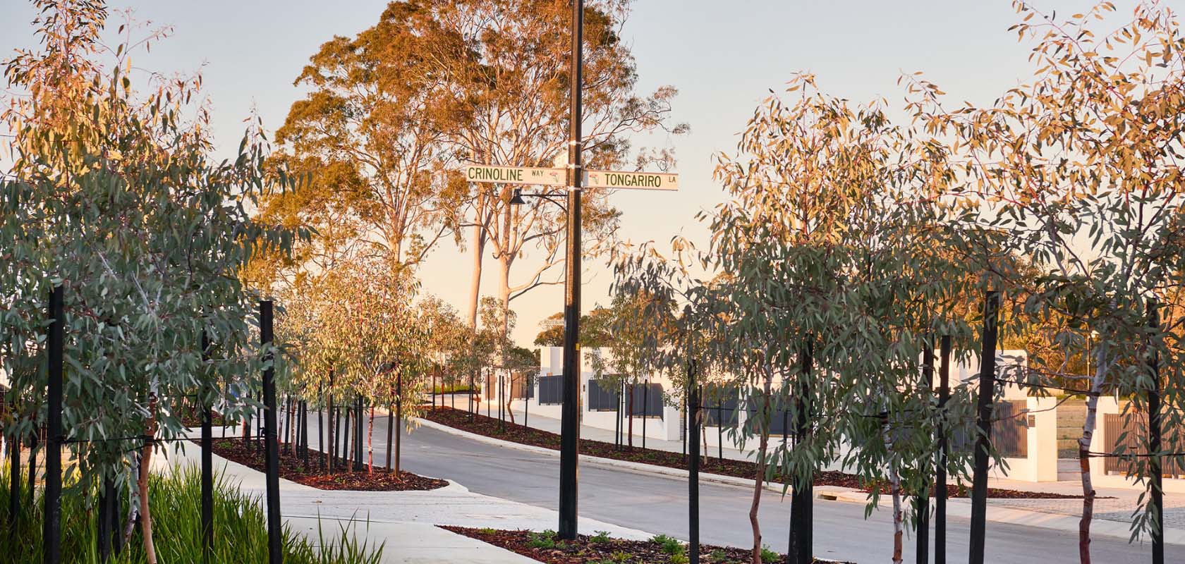 Myella, Wanneroo, street scape