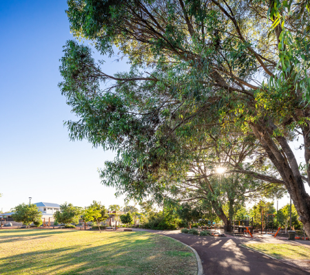 Gallery, Willagee, outdoor park space