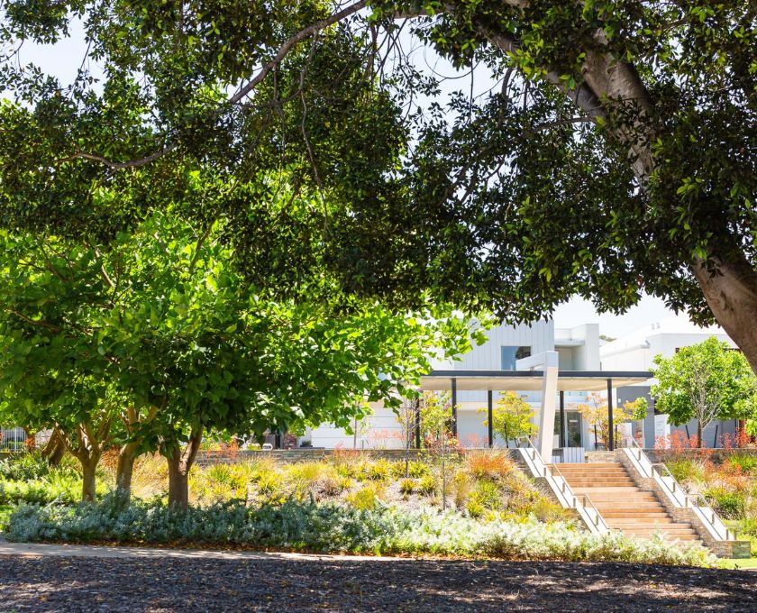 Seven Hills public open space