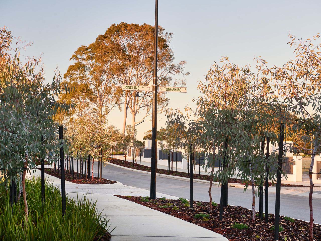 Myella, Wanneroo, street scape