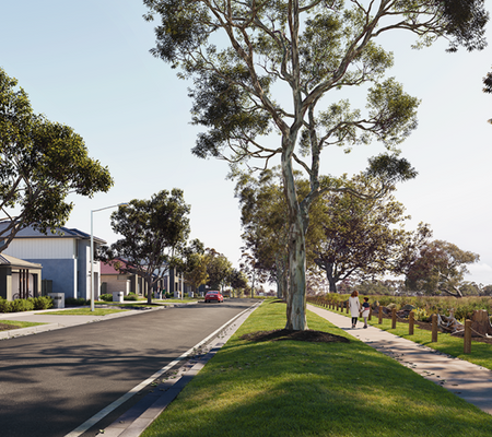 Botanical, Mickleham artist impression of street facing park.