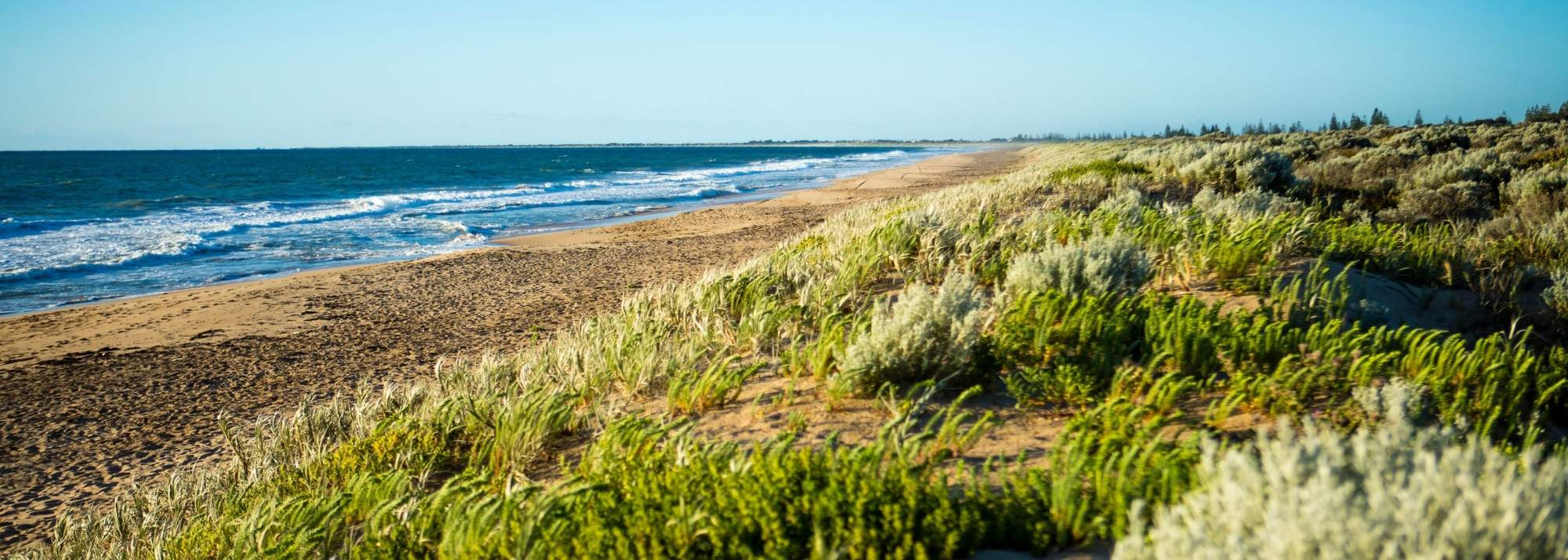 Ocean Hill, Lakelands, view of the coast line