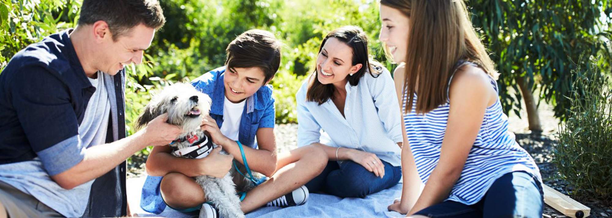 Pet safety tips for a pet friendly home