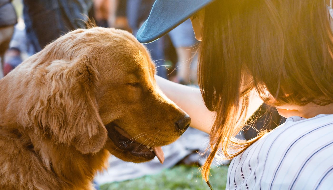 Ocean Hill, Lakelands, Top Dog Walking Spots