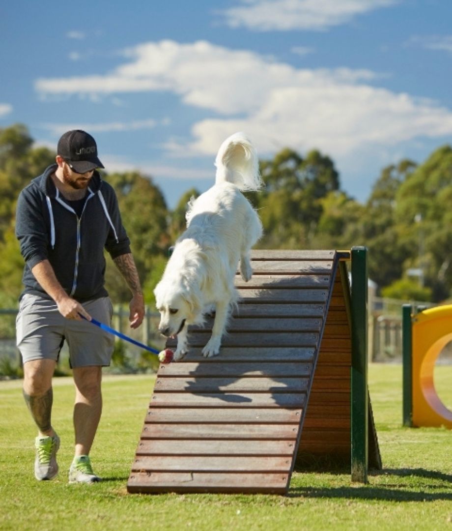 Honeywood, Wandi, man with his dog at the park