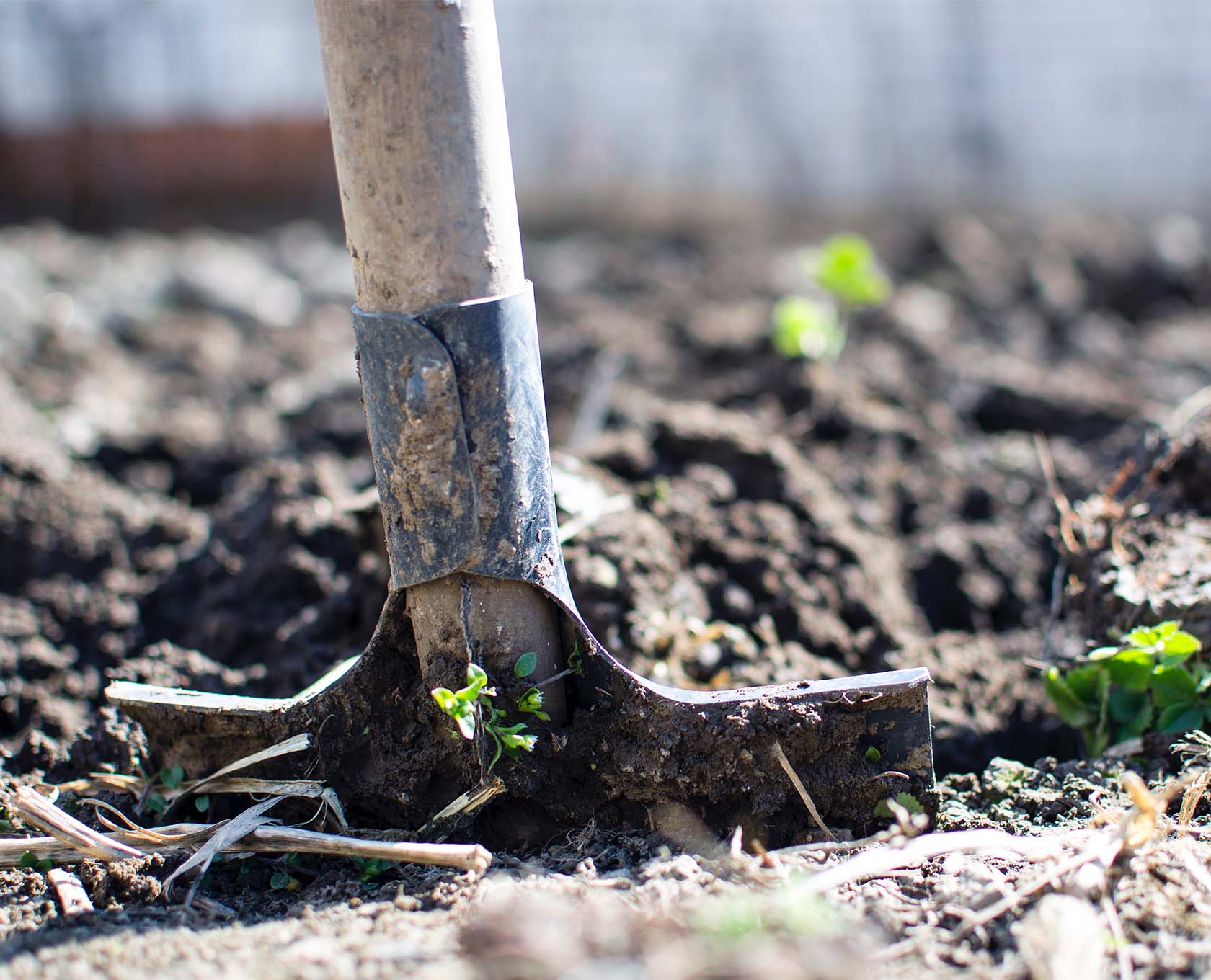 Digging to build a garden