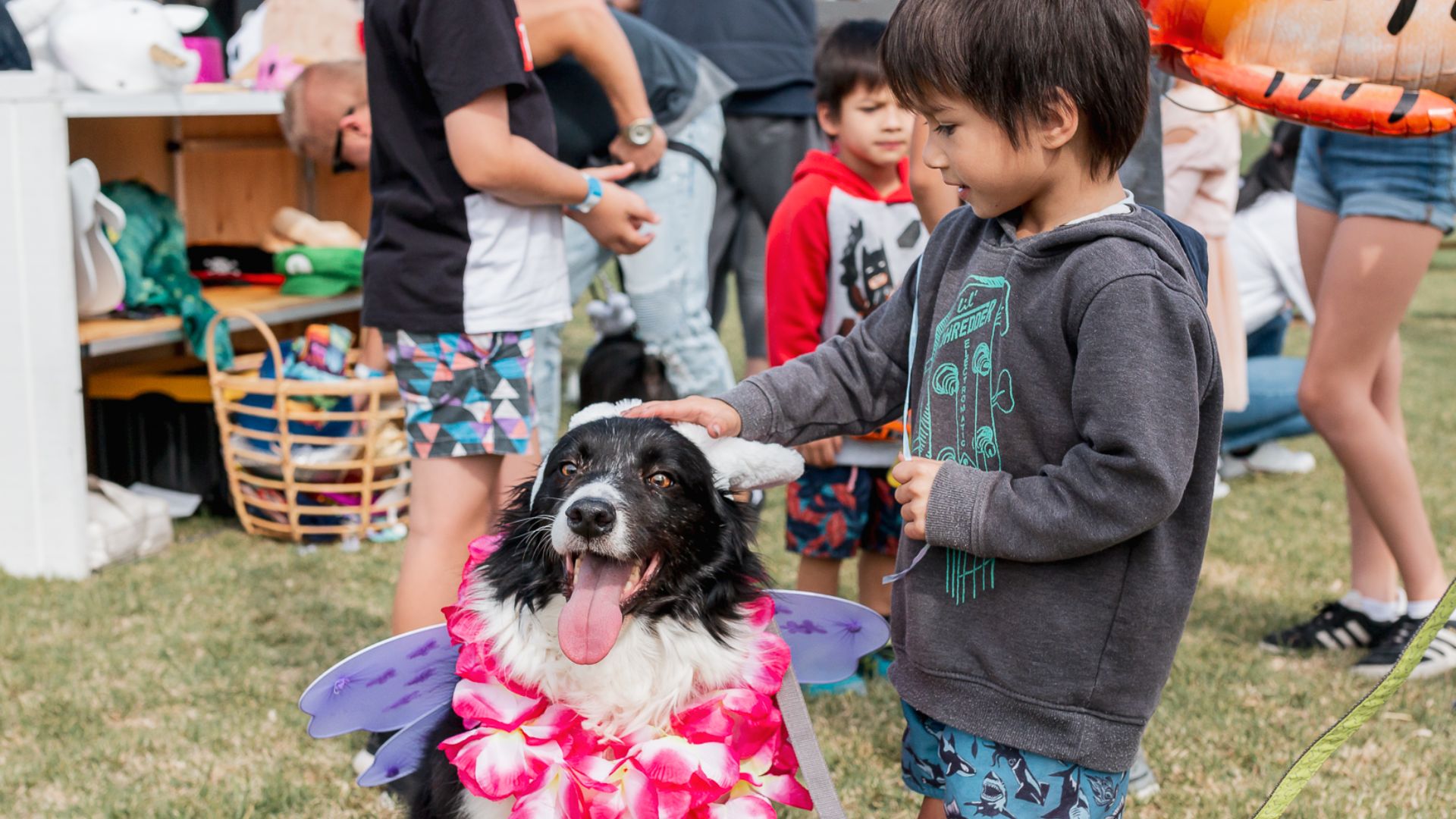 Playing with dog at Arcadia, Officer event