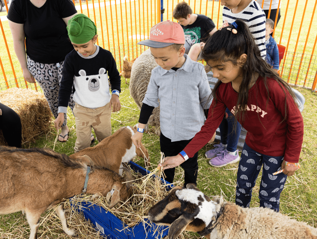 Botanical Mickleham children at the petting zoo