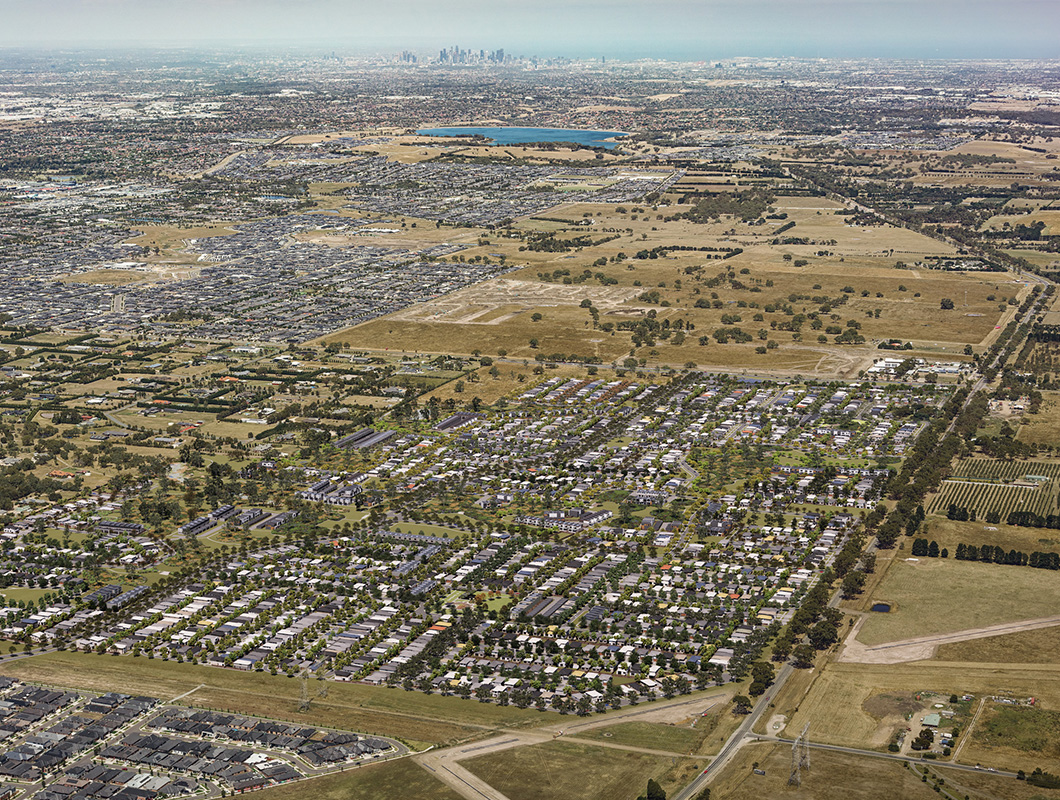 Botanical aerial view