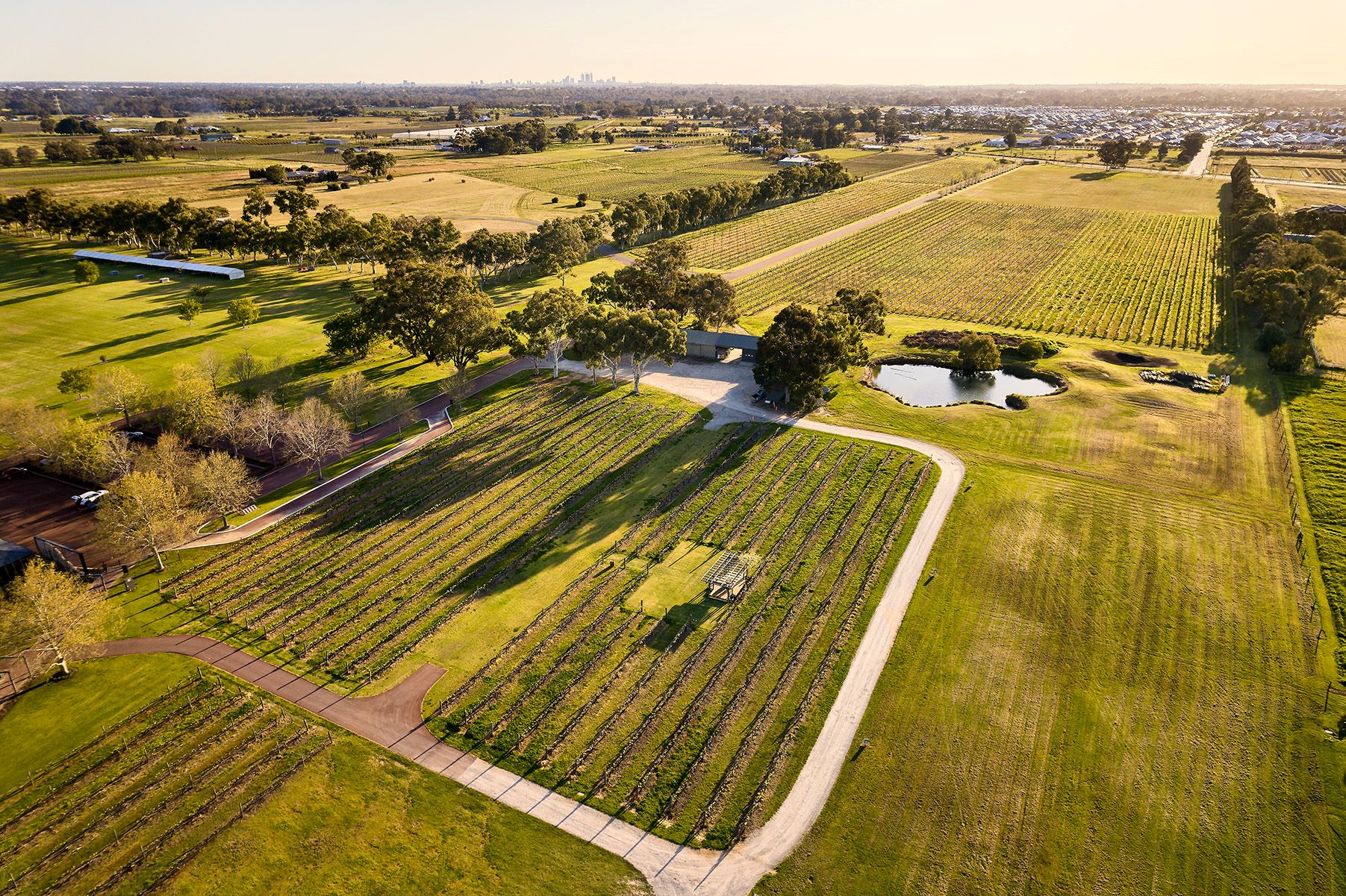 Robinson Grove, Bellevue, aerial view of the community