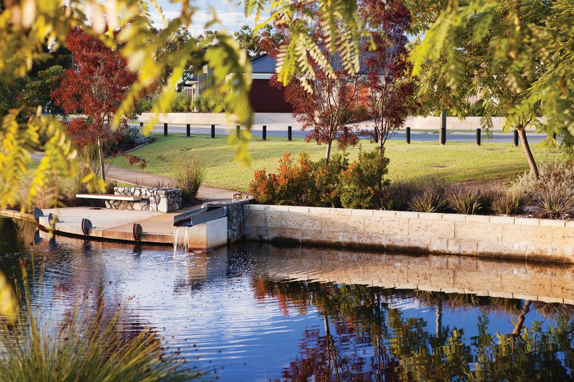 Heron Park water and road
