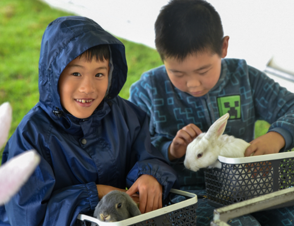 Arcadia Easter Fun Day at Harmony Place Park children playing with the rabbits