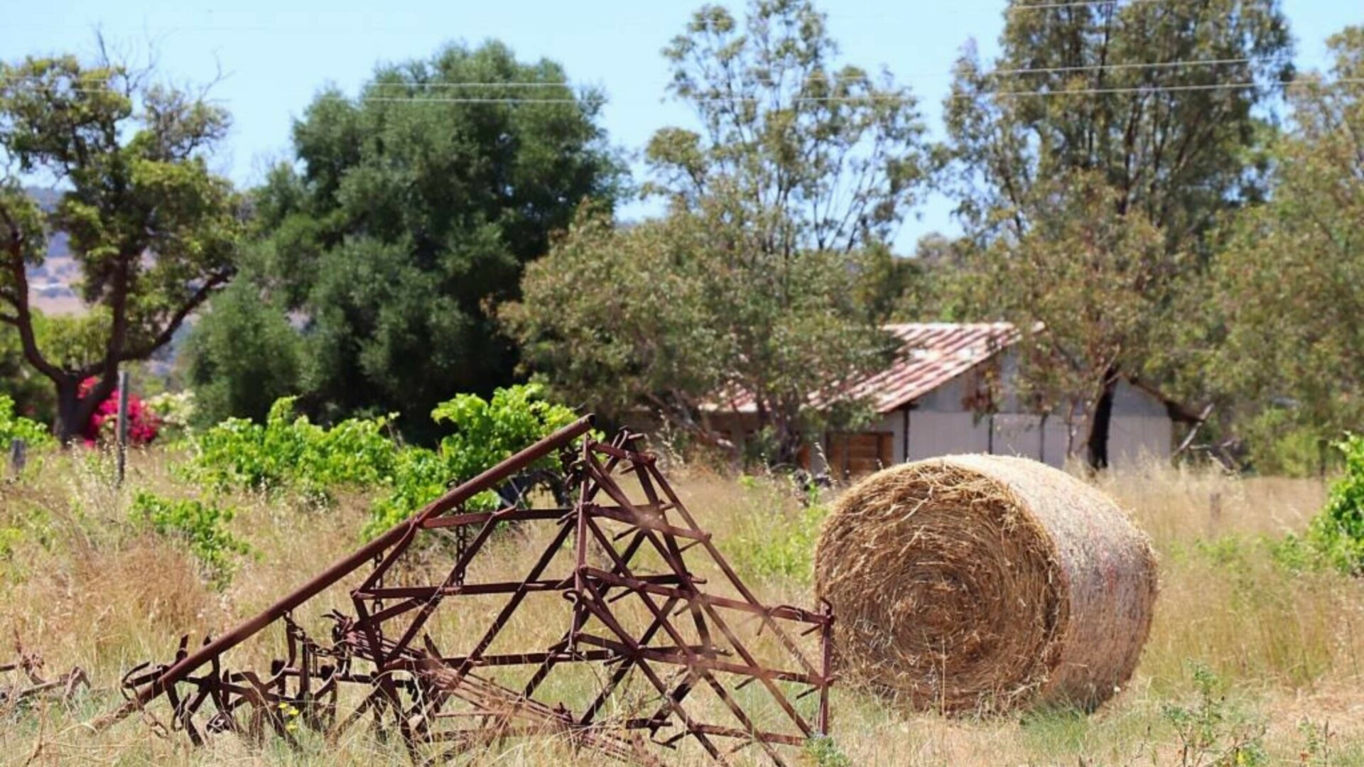 Old shed and hay bale at Clementine, Upper Swan