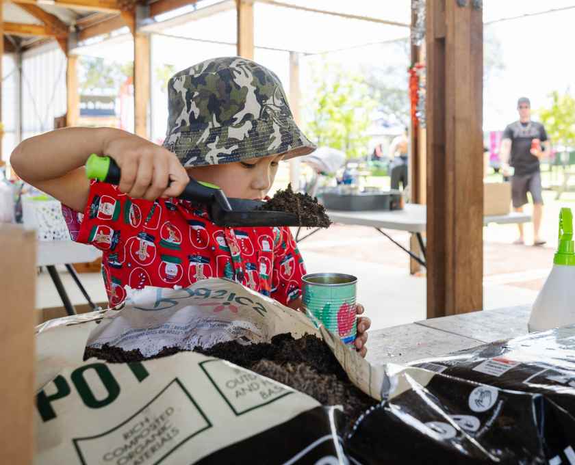 Potting plants at Clementine Upper Swan
