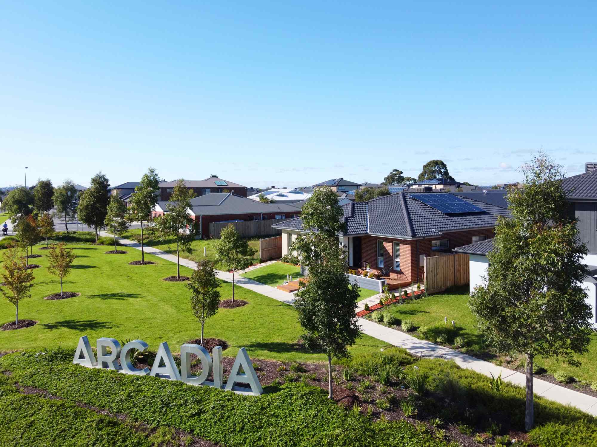 Arcadia Summer Campaign