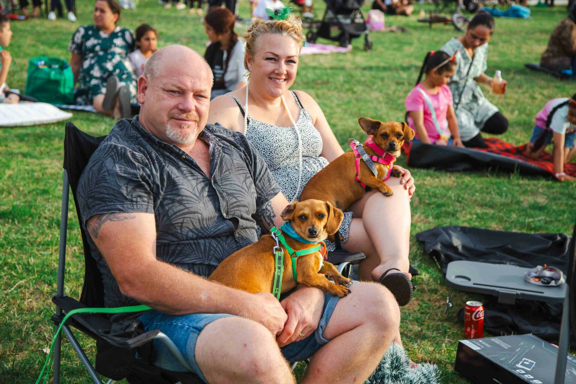 Arcadia Christmas movie night couple with their dogs