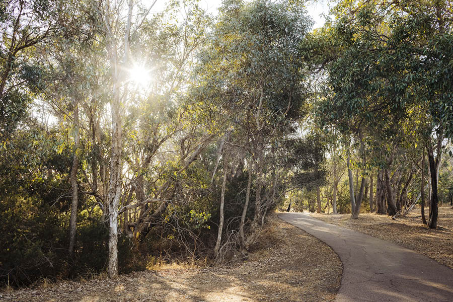 The Glades, Byford nature paths