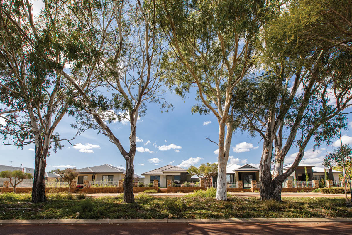 The Glades, Byford established trees
