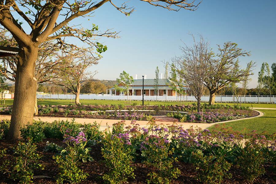 Robinson Grove landscape