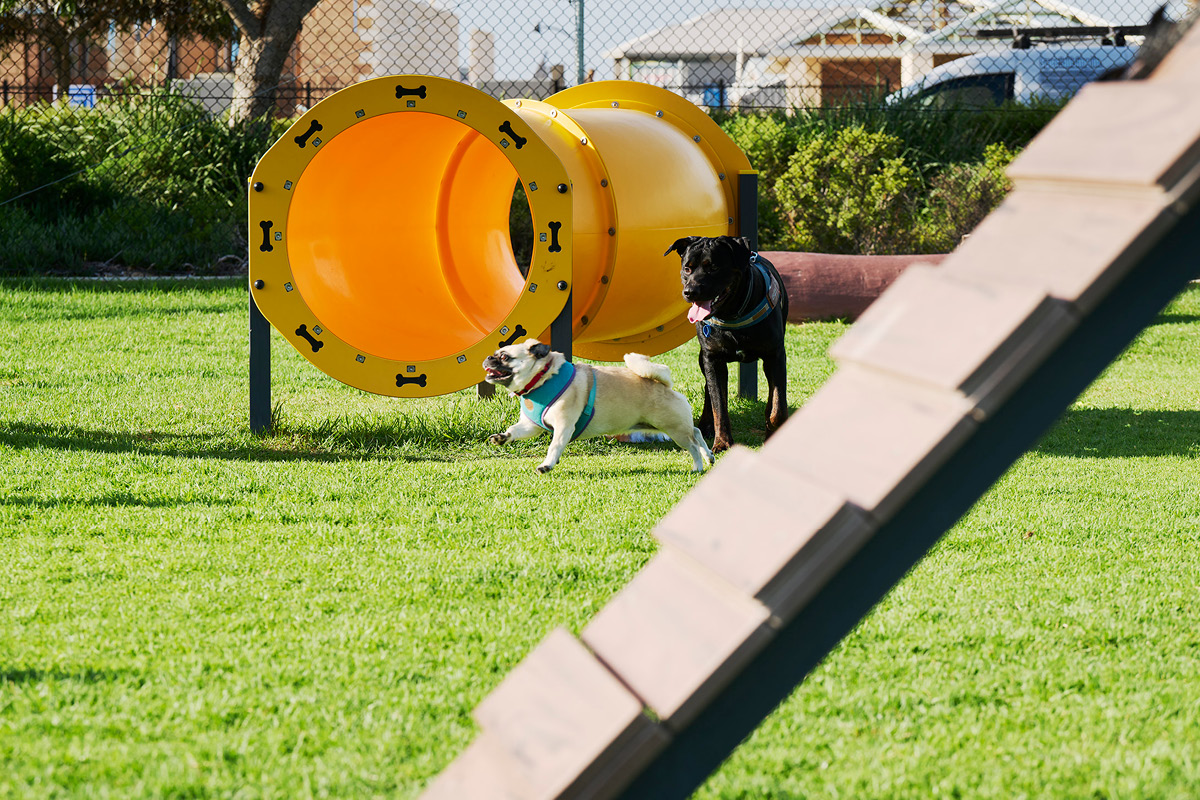 Allara dog park