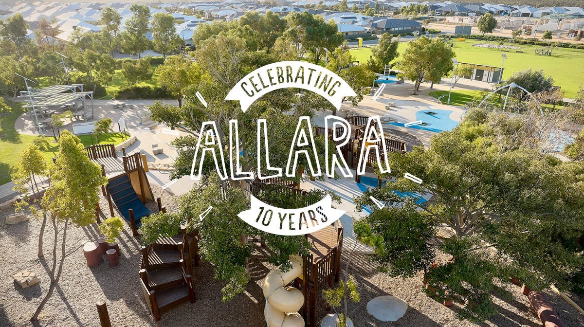 Allara 10 years