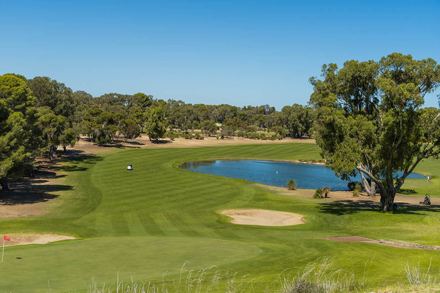 Vertex, Yanchep next to gold course