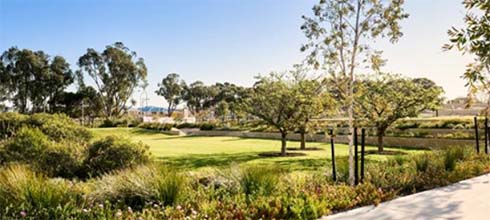 Access WA Estate Stage Information