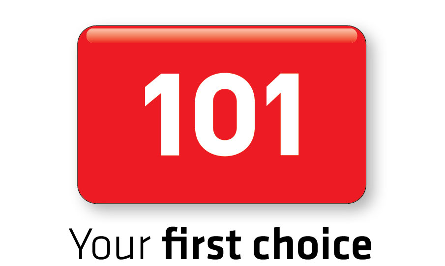 101 Logo_RGB
